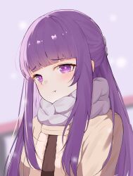 Rule 34 | 1girl, absurdres, blunt bangs, blurry, blurry background, brown coat, closed mouth, coat, fern (sousou no frieren), fur trim, hair ornament, highres, hongga (joyw), long hair, looking at viewer, outdoors, pout, purple eyes, purple hair, purple pupils, purple scarf, scarf, snowing, solo, sousou no frieren, upper body
