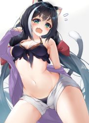 Rule 34 | 1girl, absurdres, airmisuzu, animal ear fluff, animal ears, bare shoulders, bikini, black bikini, black hair, blush, bow, breasts, cameltoe, cat ears, cat girl, cat tail, cleavage, collarbone, fang, flying sweatdrops, frilled bikini, frills, green eyes, groin, hair between eyes, hair bow, highres, jacket, karyl (princess connect!), karyl (summer) (princess connect!), long hair, looking at viewer, low twintails, medium breasts, multicolored hair, navel, open clothes, open mouth, open shorts, princess connect!, purple jacket, red bow, shorts, simple background, solo, stomach, streaked hair, swimsuit, tail, twintails, very long hair, white background, white hair, white shorts