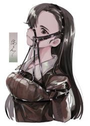 Rule 34 | 1girl, asymmetrical bangs, bridle, brown eyes, brown hair, brown shirt, commentary request, girls und panzer, hair over one eye, harness, harness gag, harness strap, highres, long hair, looking at viewer, nishi kinuyo, pony play, shirt, solo, tama launcher, white background