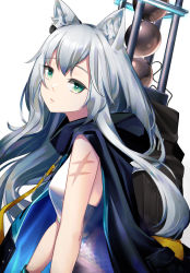 Rule 34 | 1girl, animal ear fluff, animal ears, arknights, bare arms, bare shoulders, cat ears, commentary, dress, green eyes, head tilt, highres, long hair, looking at viewer, rosmontis (arknights), silver hair, simple background, sleeveless, sleeveless dress, solo, upper body, wakamepiza, white background, white dress