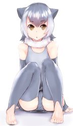 Rule 34 | 10s, 1girl, absurdres, animal ears, bad id, bad pixiv id, barefoot, commentary request, elbow gloves, feet, fingerless gloves, fur collar, gloves, grey hair, grey thighhighs, highres, kemono friends, knees to chest, multicolored hair, no shoes, one-piece swimsuit, otter ears, rairasu (sushirairasu), short hair, sitting, small-clawed otter (kemono friends), solo, swimsuit, thighhighs, toeless legwear, toes, white hair