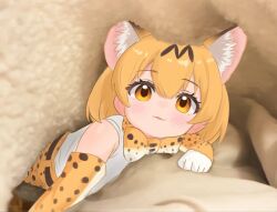 Rule 34 | 1girl, :3, animal ears, bare shoulders, blonde hair, blush, bow, bowtie, cat ears, cat girl, elbow gloves, extra ears, gloves, hair between eyes, high-waist skirt, highres, kemono friends, looking at viewer, photo-referenced, photo background, print bow, print bowtie, print gloves, print skirt, serval (kemono friends), serval print, shirt, short hair, sidelocks, skirt, sleeveless, solo, travellerll, under covers, white shirt, yellow eyes