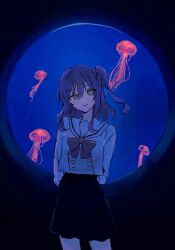 Rule 34 | 1girl, aquarium, arm behind back, bocchi the rock!, enu (brandnewday02), highres, jellyfish, kita ikuyo, looking at viewer, school uniform, smile, standing