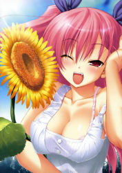 Rule 34 | 1girl, absurdres, bra, breasts, chu x chu idol, chua churam, cleavage, fang, fangs, flower, highres, large breasts, lingerie, one eye closed, open mouth, ozawa akifumi, pink bra, pink eyes, pink hair, shirt, smile, solo, sunflower, taut clothes, taut shirt, underwear, upper body, wink