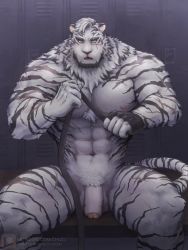 Rule 34 | 1boy, abs, animal ears, arknights, bara, body fur, bulge, chizo (chizo67), completely nude, feet out of frame, foreskin, furry, furry male, large pectorals, locker, locker room, looking at viewer, male focus, mountain (arknights), muscular, muscular male, navel, nipples, nude, pectorals, penis, scar, scar across eye, scar on face, short hair, sitting, solo, stomach, thick thighs, thighs, tiger boy, tiger ears, uncensored, white fur
