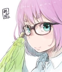 Rule 34 | 1girl, adjusting eyewear, bad id, bad twitter id, black-framed eyewear, blouse, blue eyes, blue shirt, blush, claws, closed mouth, collared shirt, feathered wings, glasses, harpy, looking at viewer, looking to the side, monster girl, nucomas, original, pink hair, pink lips, portrait, shirt, short eyebrows, short hair, simple background, smile, solo, white background, wing collar, winged arms, wings