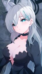 Rule 34 | 1girl, absurdres, animal ears, black choker, black dress, blue archive, blue eyes, blush, breasts, choker, cleavage, closed mouth, collarbone, cross hair ornament, dark halo, dress, extra ears, grey hair, hair between eyes, hair ornament, halo, highres, large breasts, long hair, long sleeves, mismatched pupils, mtoan, shiroko (blue archive), shiroko terror (blue archive), solo, upper body, wolf ears