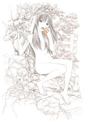 Rule 34 | 1girl, apple, barefoot, feet, food, fruit, long hair, monochrome, nude, original, rubble, sketch, solo, spot color, traditional media, yoshitomi akihito