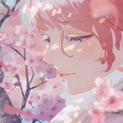 Rule 34 | 1girl, blurry, blurry foreground, cherry blossoms, close-up, eyelashes, flower, hair between eyes, half-closed eyes, highres, original, parted lips, petals, pili 0, pink eyes, pink flower, pink hair, pink lips, pink theme, solo, spring (season), teeth