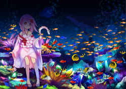 Rule 34 | 1girl, 54hao, air bubble, animal, arm support, bad id, bad pixiv id, bare shoulders, braid, bubble, camisole, collarbone, commentary request, coral, coral reef, eel, fish, fish request, flower, glowing, glowing eyes, hair flower, hair ornament, hair over shoulder, halterneck, head tilt, holding, holding animal, holding fish, japanese clothes, kimono, long hair, long sleeves, looking at viewer, off shoulder, pink camisole, pink hair, pink kimono, red eyes, ribbon-trimmed camisole, ribbon trim, sandals, school of fish, sergestid shrimp in tungkang, short kimono, shrimp, side braid, single braid, sitting, solo, tropical fish, underwater, wide sleeves, x x, xuan ying, zouri
