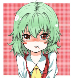 Rule 34 | 1girl, :t, ascot, blush stickers, female focus, green hair, kazami yuuka, ketappu, looking at viewer, plaid, plaid background, plaid vest, pout, red eyes, solo, tears, touhou, upper body, vest