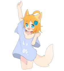 Rule 34 | 1girl, :d, absurdres, animal ear fluff, animal ears, arm up, blue eyes, blue flower, blue shirt, clothes writing, commentary request, cropped legs, flower, hair between eyes, hair flower, hair ornament, highres, looking at viewer, open mouth, orange hair, original, panties, shirt, short sleeves, smile, solo, tail, tanigawara, thigh gap, translation request, underwear, white panties, wide sleeves