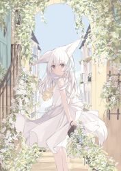 Rule 34 | 1girl, animal ears, bare arms, bare shoulders, blue ribbon, blue sky, bow, building, closed mouth, commentary request, day, dress, flower, from side, hair ribbon, highres, holding, holding lantern, kushida you, lantern, long hair, looking at viewer, looking to the side, original, outdoors, red eyes, ribbon, sky, sleeveless, sleeveless dress, smile, solo, tail, white bow, white dress, white flower, white hair, window