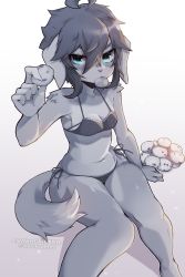 Rule 34 | 1girl, ahoge, animal ears, animal nose, arm up, artist name, bare shoulders, barefoot, black hair, blue eyes, blush, body fur, bra, breasts, checkerboard cookie, cleavage, closed mouth, coffeechicken, collarbone, cookie, dog ears, dog girl, dog tail, eating, female focus, food, furry, furry female, gradient background, grey bra, grey fur, grey pants, grey theme, highres, holding, holding cookie, holding food, looking at viewer, mouth hold, navel, original, outline, panties, pants, patreon username, polka dot, polka dot bra, polka dot panties, short hair, side-tie panties, sidelocks, simple background, sitting, small breasts, solo, stomach, string panties, tail, two-tone fur, underwear, underwear only, v-shaped eyebrows, watermark, white background
