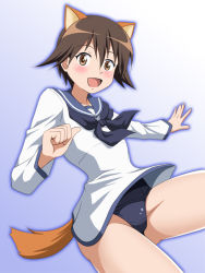 Rule 34 | 1girl, animal ears, blue background, blush, brown eyes, brown hair, dog ears, dog tail, dress, female focus, gradient background, groin, hiro yoshinaka, miyafuji yoshika, open mouth, sailor dress, shiny skin, short hair, simple background, smile, solo, strike witches, swimsuit, tail, tongue, world witches series