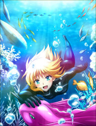 Rule 34 | 1girl, absurdres, air bubble, ass, blonde hair, blue eyes, bodysuit, breasts, bubble, cayna, coral, coral reef, creature, diving suit, fish, freediving, headpat, highres, key visual, leadale no daichi nite, light blush, medium breasts, official art, open mouth, petting, promotional art, school of fish, sunlight, swimming, underwater, wetsuit