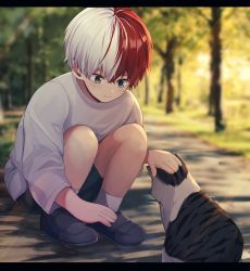 Rule 34 | 1boy, animal, blue eyes, blurry, blurry background, blush, boku no hero academia, burn scar, cat, closed mouth, commentary request, grey socks, heterochromia, highres, letterboxed, looking at animal, miyanami 3, multicolored hair, petting, red eyes, red hair, scar, scar on face, shoes, shorts, smile, socks, solo, squatting, todoroki shouto, two-tone hair, white hair