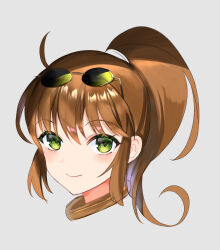 Rule 34 | 1girl, blush, brown hair, closed mouth, eyewear on head, green eyes, highres, long hair, looking at viewer, ponytail, precis neumann, protected link, simple background, smile, solo, star ocean, star ocean the second story, white background, ycco (estrella)