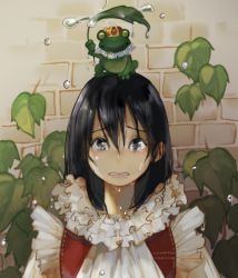 Rule 34 | 1girl, animal, animal on head, black eyes, black hair, clothed animal, collar, commentary request, crown, crying, day, dress, frilled collar, frills, frog, frog prince, grimm&#039;s fairy tales, hair between eyes, highres, holding, holding leaf, leaf, looking at viewer, on head, parted lips, plant, rain, red vest, sad, sako (35s 00), tears, vest, water drop, wet, wet hair, white dress