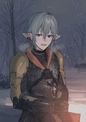 Rule 34 | 1boy, :d, armor, bare tree, black gloves, blue eyes, breath, chainmail, chihuri, ear piercing, final fantasy, final fantasy xiv, gloves, grey hair, hair between eyes, haurchefant greystone, highres, looking at viewer, male focus, open mouth, outdoors, pauldrons, piercing, pointy ears, shoulder armor, smile, snow, snowing, solo, tree