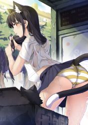 Rule 34 | 1girl, absurdres, animal, animal ear fluff, animal ears, ass, black cat, black hair, black skirt, blue sky, blunt bangs, blush, box, breasts, building, bus stop, cat, cat ears, cat tail, clothing cutout, cloud, cloudy sky, commentary request, day, highres, in box, in container, long hair, looking at viewer, looking back, miniskirt, original, outdoors, panties, pantyshot, parted lips, pleated skirt, rain, school uniform, see-through, shirt, short sleeves, skirt, sky, solo, standing, striped clothes, striped panties, tail, tail through clothes, tree, underwear, upskirt, wet, wet clothes, wet hair, wet shirt, yellow eyes, zelitto