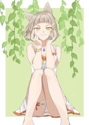 Rule 34 | &gt;:), 1girl, bangle, bare arms, bare shoulders, bracelet, breasts, brown hair, brown ribbon, closed mouth, commentary, dress, feet out of frame, green background, hair ribbon, hands up, highres, jewelry, katoze3, knees together feet apart, knees up, leaf, looking at viewer, nia (xenoblade), panties, pleated dress, ribbon, sitting, sleeveless, sleeveless dress, small breasts, smile, solo, two-tone background, underwear, v-shaped eyebrows, white background, white dress, white panties, xenoblade chronicles (series), xenoblade chronicles 2, yellow eyes