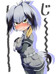Rule 34 | 10s, 1girl, ahoge, belt, blush, bodystocking, breast pocket, breasts, commentary request, drop shadow, fingerless gloves, full-face blush, gloves, grey hair, grey shirt, grey shorts, hands on breasts, head wings, highres, jacket, kemono friends, looking at viewer, moyachii, multicolored hair, multicolored tail, necktie, pantyhose, pocket, safari jacket, shirt, shirt tucked in, shoebill (kemono friends), short hair, shorts, solo, staring, tail, tsurime, wings, yellow eyes