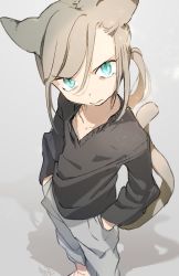 Rule 34 | 1girl, angry, animal ears, bad id, bad twitter id, black shirt, blue eyes, cat ears, cat girl, cat tail, closed mouth, female focus, glaring, grey background, grey hair, grey pants, hands in pockets, kinutani yutaka, looking at viewer, original, pants, shirt, simple background, slit pupils, solo, sweatpants, tail