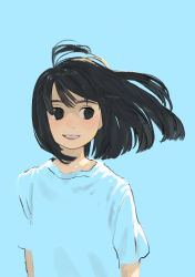 Rule 34 | 1girl, absurdres, ahoge, arms at sides, black eyes, black hair, blue background, grin, highres, looking to the side, medium hair, original, shirt, short sleeves, simple background, smile, solo, teeth, turquoise iro, white shirt
