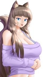 Rule 34 | 1girl, absurdres, animal ears, blue eyes, breasts, brown hair, brown tail, cat ears, cat girl, cleavage, fangs, fluffy, green eyes, highres, large breasts, long hair, looking at viewer, multicolored eyes, original, solo, sweater, takie, takie arts, tongue, tongue out, white background