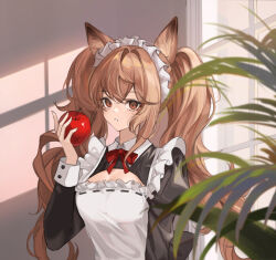 Rule 34 | 1girl, alternate costume, angelina (arknights), animal ears, apple, apron, arknights, bow, bowtie, brown eyes, brown hair, commentary request, enmaided, food, fox ears, fruit, highres, holding, holding food, holding fruit, juliet sleeves, long hair, long sleeves, looking at viewer, maid, maid headdress, parted lips, puffy sleeves, red bow, red bowtie, solo, teen a, upper body, very long hair, white apron