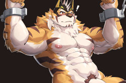 Rule 34 | 1boy, abs, animal ears, bara, beige fur, biceps, blush, chain, chained, completely nude, cuffs, facial hair, flaccid, furry, furry male, goatee, handcuffs, kamyuelo, large pectorals, live a hero, male focus, male pubic hair, mask, mature male, muscular, muscular male, navel, nipples, nude, orange fur, paid reward available, pectorals, penis, pubic hair, paid reward available, ryekie (live a hero), short hair, solo, spikes, stomach, tiger boy, tiger ears, two-tone fur