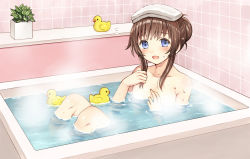 Rule 34 | 1girl, :d, bathing, blue eyes, blush, brown hair, collarbone, convenient censoring, copyright request, hair bun, indoors, knees up, kurata rine, looking at viewer, nude, official art, open mouth, partially submerged, plant, potted plant, rubber duck, short hair with long locks, sidelocks, single hair bun, sitting, smile, solo, steam, steam censor, tareme, tile wall, tiles, towel, towel on head, water, water drop, wet, wet hair
