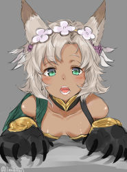 Rule 34 | 10s, 1girl, :o, animal ears, animal hands, bare shoulders, blush, breasts, cat paws, claws, cleavage, dark-skinned female, dark skin, downblouse, erune, flower, granblue fantasy, green eyes, grey background, hair flower, hair ornament, hairband, isshiki (ffmania7), looking at viewer, melleau, open mouth, short hair, silver hair, small breasts, solo, tareme, teeth, twitter username