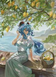 Rule 34 | 1girl, absurdres, alternate costume, arm support, basket, bird, blue hair, breasts, casual, city, day, food, fruit, ganyu (genshin impact), genshin impact, goat horns, grey skirt, hair between eyes, hand up, highres, horns, lankie, lemon, long hair, long skirt, looking to the side, medium breasts, mountainous horizon, ocean, on railing, outdoors, parted lips, puffy short sleeves, puffy sleeves, railing, shirt, short sleeves, sidelocks, sitting, skirt, solo, tree, tree shade, white shirt, wind