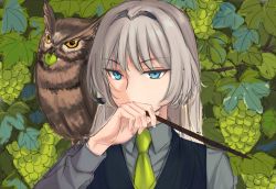 Rule 34 | 1girl, an-94 (girls&#039; frontline), bird, blue eyes, blue vest, commentary request, covering own mouth, food, fruit, girls&#039; frontline, grape vine, grapes, grey shirt, hair between eyes, hairband, hand up, long hair, looking at viewer, necktie, on shoulder, owl, platinum blonde hair, shirt, silayloe, simple background, solo, vest, yellow necktie