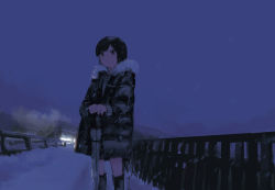 Rule 34 | 1girl, as4kla, black hair, character request, copyright request, fur-trimmed jacket, fur trim, highres, holding, holding umbrella, jacket, night, night sky, open clothes, open jacket, outdoors, scenery, short hair, sky, snow, solo, swept bangs, transparent, transparent umbrella, umbrella, winter