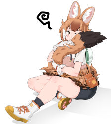 Rule 34 | 1girl, :&lt;, animal ears, bike shorts under skirt, blush, breasts, brown hair, commentary, dhole (kemono friends), dog ears, dog girl, dog tail, emil (fafa), extra ears, gloves, highres, hugging own tail, hugging tail, kemono friends, kemono friends 3, large breasts, multicolored hair, official alternate costume, pout, shirt, short hair, skirt, solo, squiggle, sulking, tail, two-tone hair, white hair