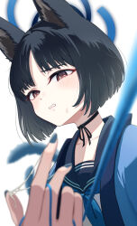Rule 34 | 1girl, animal ears, black hair, black sailor collar, blue archive, blue halo, blue nails, blue neckerchief, blush, brown eyes, cat ears, fingernails, halo, haori, highres, japanese clothes, kikyou (blue archive), multiple tails, nail polish, neckerchief, open mouth, sailor collar, short hair, simple background, solo, suggestive fluid, tail, two tails, udon f, upper body, white background