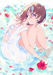 Rule 34 | 1girl, achiki, back, bare arms, bare legs, bare shoulders, barefoot, brown hair, caustics, commentary request, dress, flower, flower on liquid, hair ribbon, head tilt, long hair, looking at viewer, looking back, original, petals, petals on liquid, purple eyes, red flower, ribbon, shallow water, sleeveless, sleeveless dress, solo, sundress, thighs, water, white dress, white ribbon
