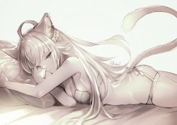 Rule 34 | 1girl, ahoge, animal ears, atalanta (fate), bra, breasts, cleavage, fate/apocrypha, fate (series), garter straps, lying, miyuki ruria, monochrome, on bed, on stomach, pillow, solo, tail, twitter username, underwear