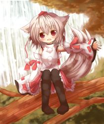 Rule 34 | 1girl, animal ears, black thighhighs, blush, detached sleeves, female focus, grey hair, hat, in tree, inubashiri momiji, nature, open mouth, outdoors, plant, red eyes, short hair, sitting, sitting in tree, skirt, sleeves past wrists, smile, solo, tail, thighhighs, tokin hat, touhou, tree, water, waterfall, wide sleeves, wolf ears, wolf tail, yuuhagi (amaretto-no-natsu)