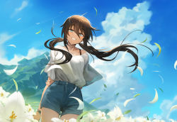 Rule 34 | 1girl, arm behind back, blue eyes, blue shorts, blue sky, bracelet, brown hair, cloud, day, ecien, falling leaves, grin, hair between eyes, holding own arm, jewelry, leaf, long hair, low twintails, mountain, original, outdoors, shirt, short shorts, shorts, sky, smile, solo, standing, tan, thighs, twintails, white shirt