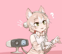 Rule 34 | 2girls, :3, :p, ?, animal ears, animal print, bare shoulders, blush, bow, bowtie, cat (kemono friends), cat ears, cat girl, cat print, commentary request, dog (mixed breed) (kemono friends), elbow gloves, extra ears, gloves, green eyes, high-waist skirt, highres, kemono friends, light brown hair, multicolored hair, multiple girls, phone, print gloves, print neckwear, print skirt, shirt, short hair, skirt, sleeveless, striped bow, striped bowtie, striped clothes, tangle, toki reatle, tongue, tongue out, two-tone hair, white hair, white shirt
