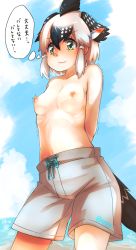 Rule 34 | 1girl, arms behind back, bad id, bad pixiv id, beach, bird tail, black hair, blue sky, breasts, closed mouth, clothes writing, collarbone, commentary request, cowboy shot, crossdressing, day, drawstring, embarrassed, female focus, greater roadrunner (kemono friends), green eyes, grey hair, hair tubes, highres, kemono friends, kemono friends 2, male swimwear, male swimwear challenge, male swimwear writing, medium hair, multicolored hair, navel, nipples, ocean, outdoors, perky breasts, ribs, sidelocks, sky, small breasts, smile, solo, stomach, swim trunks, swim trunks writing, swimsuit, swimsuit writing, tail, tearing up, thin (suzuneya), thought bubble, topless, translation request, trembling, water, white hair, white male swimwear, white swim trunks