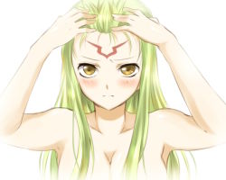 Rule 34 | 00s, 1girl, bad id, bad pixiv id, blush, breasts, c.c., cleavage, close-up, code geass, completely nude, facial mark, forehead, forehead mark, green hair, large breasts, long hair, maruki (punchiki), nude, solo, yellow eyes