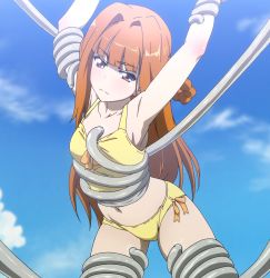 Rule 34 | 1girl, anime screenshot, braid, brown eyes, cloud, french braid, highres, long hair, maron (momo kyun sword), momo kyun sword, orange hair, screencap, sky, swimsuit, tentacles
