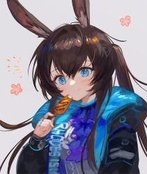 Rule 34 | 1girl, :t, amiya (arknights), arknights, ascot, black jacket, blue ascot, blue collar, blue eyes, blush, brown hair, clothes writing, collar, eating, flower, food, grey background, hair between eyes, highres, holding, holding food, jacket, jewelry, long hair, long sleeves, looking at viewer, multiple rings, open clothes, open jacket, ponytail, rabbit girl, red flower, ring, shirt, sidelocks, simple background, smile, solo, spacelongcat, upper body, white shirt