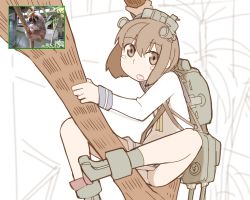 Rule 34 | 10s, 1girl, branch, cannon, climbing, kantai collection, legs, looking at viewer, nns (sobchan), photo inset, reference inset, reference photo, simple background, solo, yukikaze (kancolle)