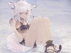 Rule 34 | 1girl, absurdres, animal ear fluff, animal ear headphones, animal ears, antenna hair, arknights, bad id, bad twitter id, bare shoulders, bikini, black bikini, black footwear, blue eyes, closed mouth, commentary request, earbuds, earphones, eyebrows hidden by hair, fake animal ears, fox ears, fox girl, fox tail, hair between eyes, hair ornament, hairclip, hands up, headphones, highres, holding, knees up, looking at viewer, mani tamlyn, material growth, official alternate costume, oripathy lesion (arknights), sandals, see-through, shallow water, solo, sussurro (arknights), sussurro (summer flower) (arknights), swimsuit, tail, water, white hair